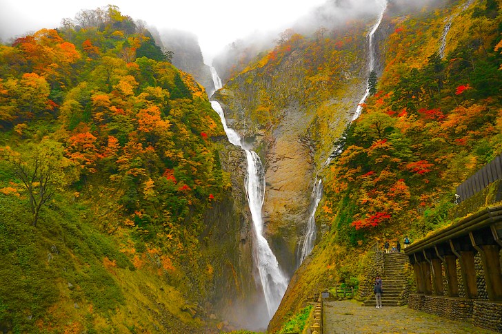 紅葉も見事 落差日本一の名瀑 称名滝