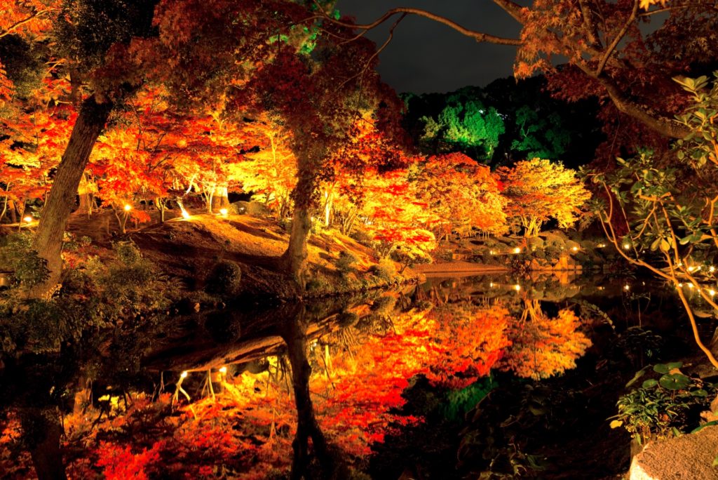 縮景園『もみじまつり』（紅葉ライトアップ）