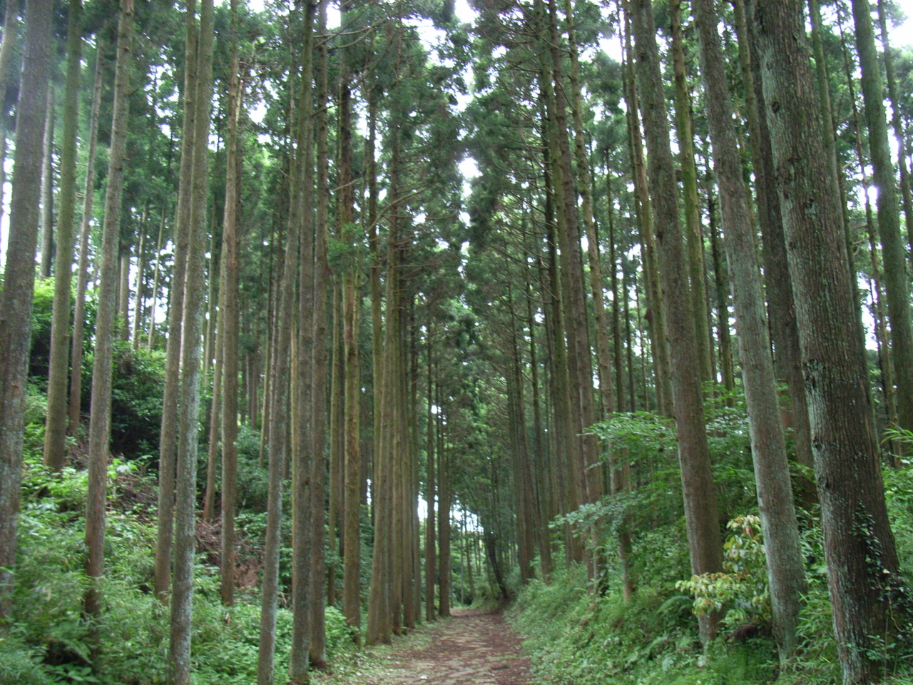 山中城・三の丸
