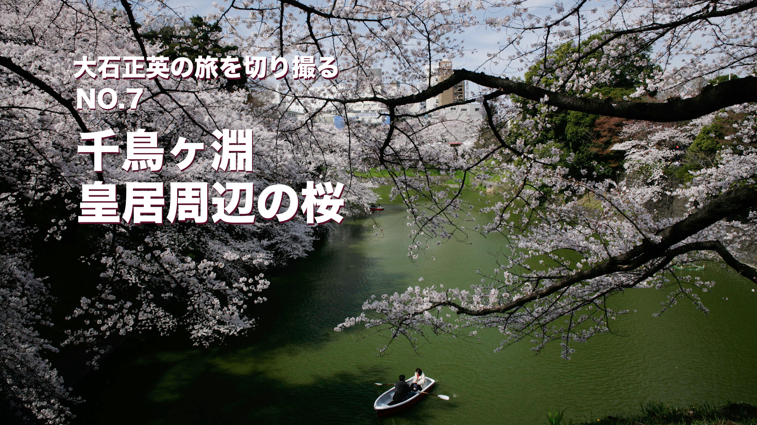 大石正英の旅を切り撮る NO.7 千鳥ヶ淵・皇居周辺の桜