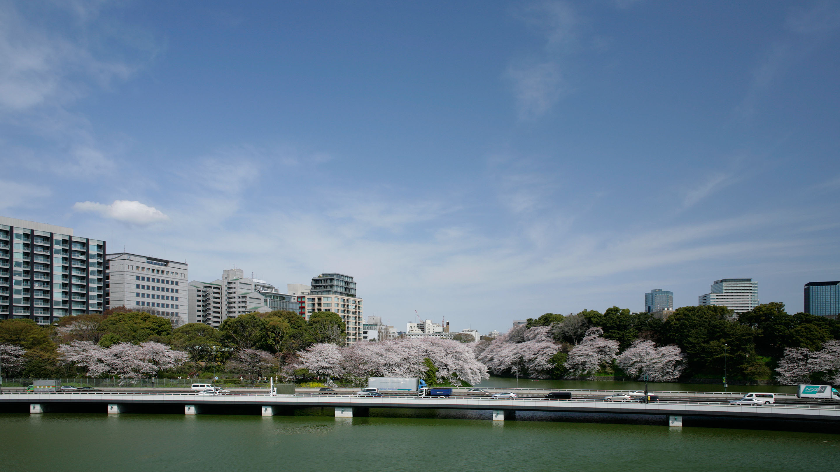 千鳥ヶ淵