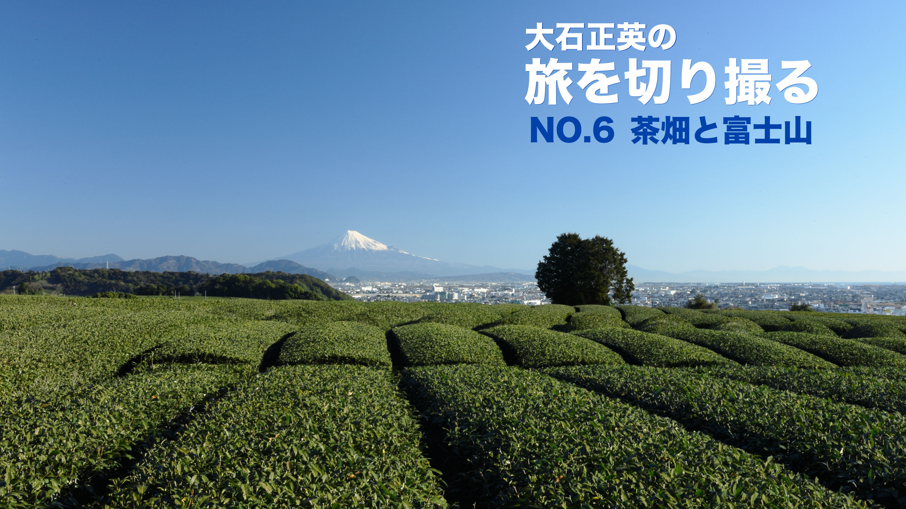 大石正英の旅を切り撮る No 6 茶畑と富士山 静岡県牧之原市