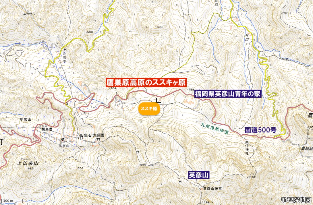 鷹巣原高原のススキヶ原