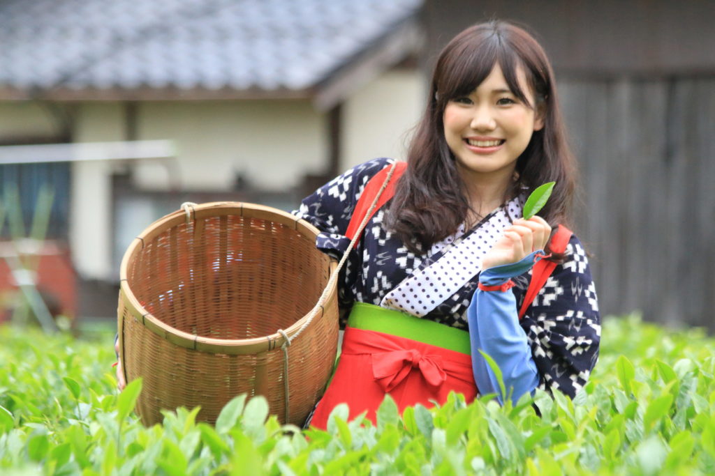 大国寺と丹波茶まつり
