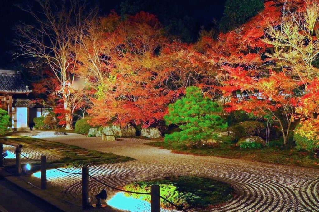 南禅寺・天授庵『紅葉ライトアップ』