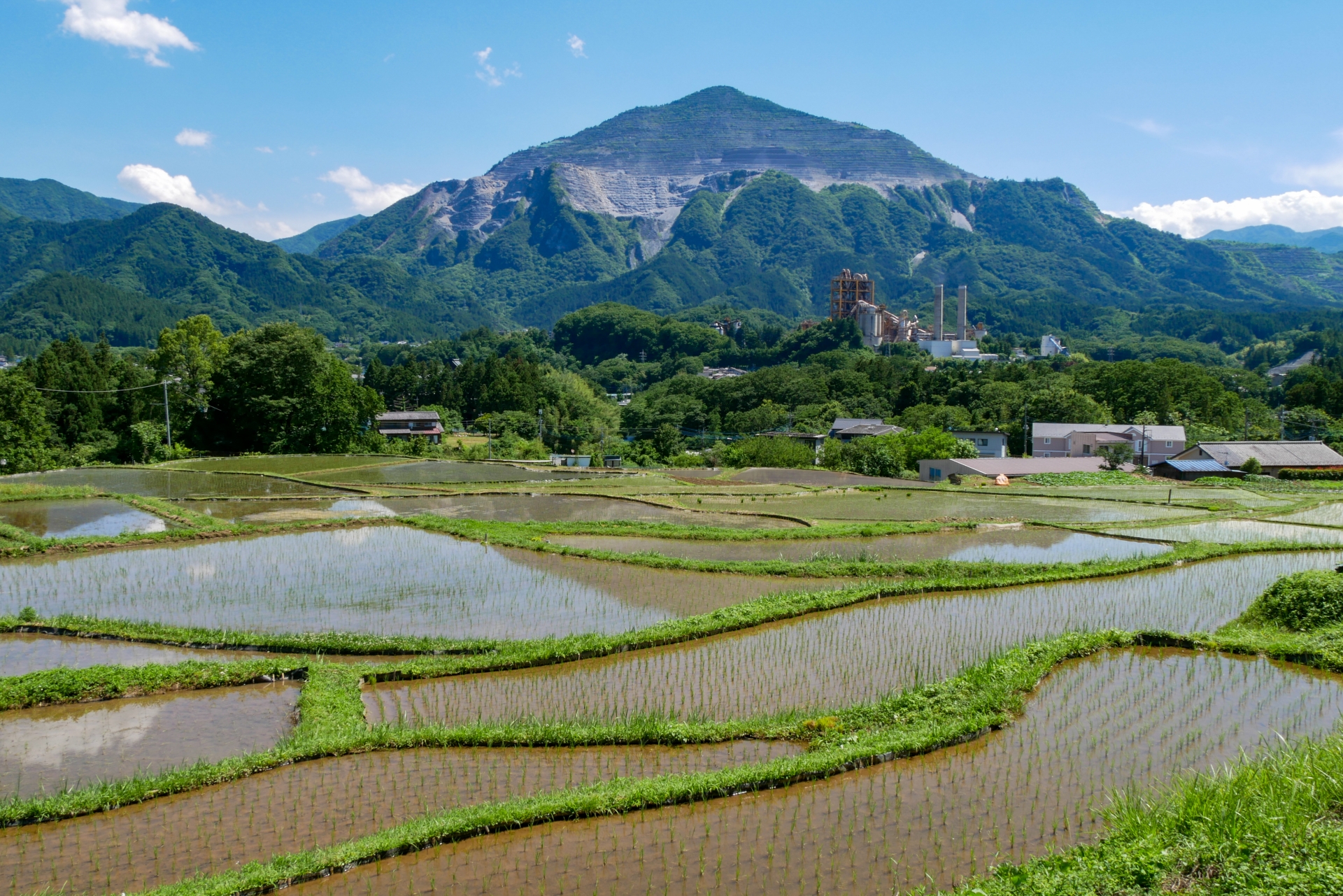 寺坂棚田