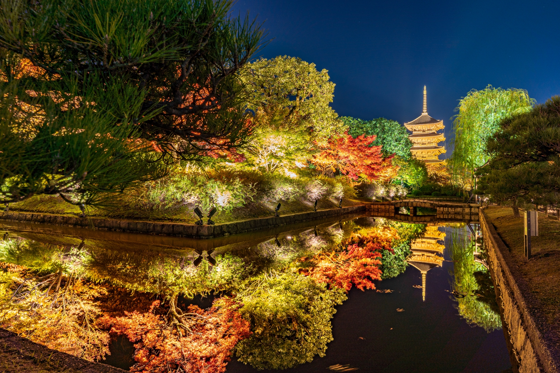 東寺・紅葉ライトアップ