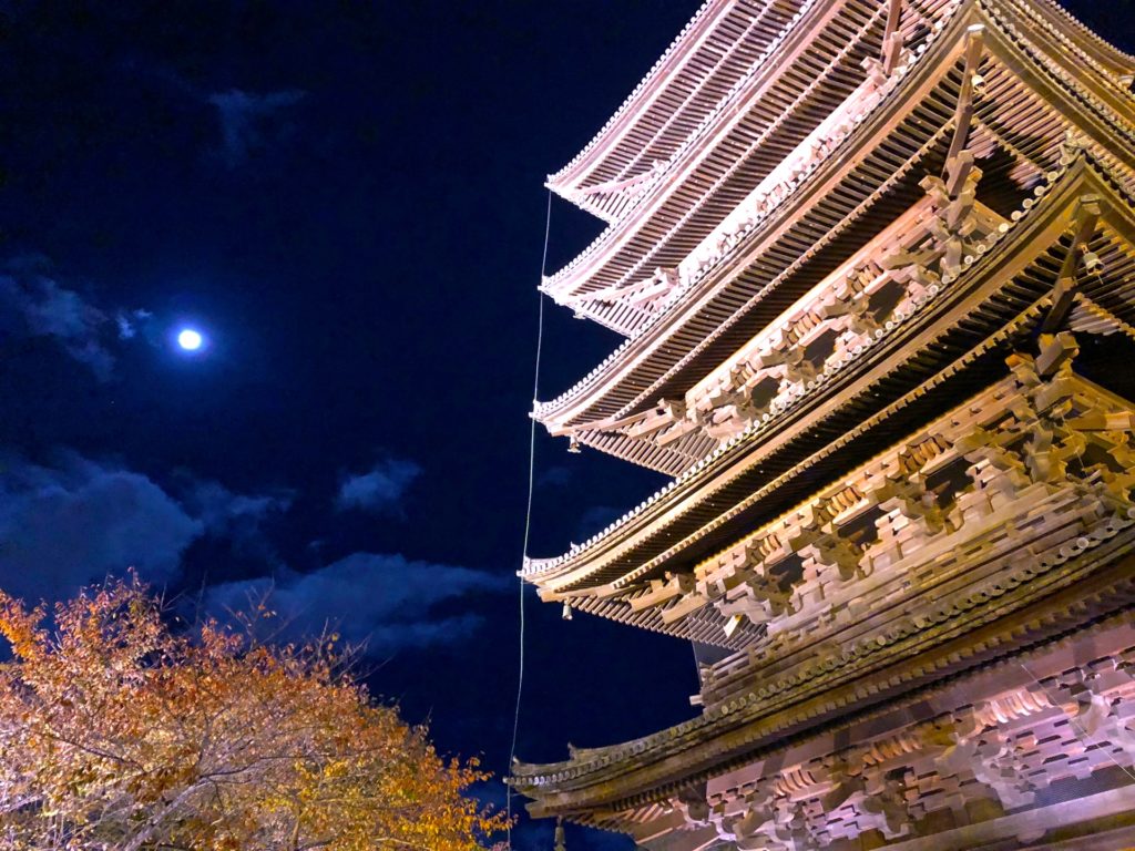 東寺・紅葉ライトアップ