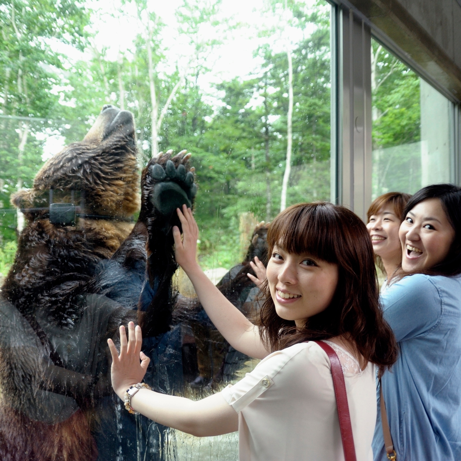 ベア・マウンテン