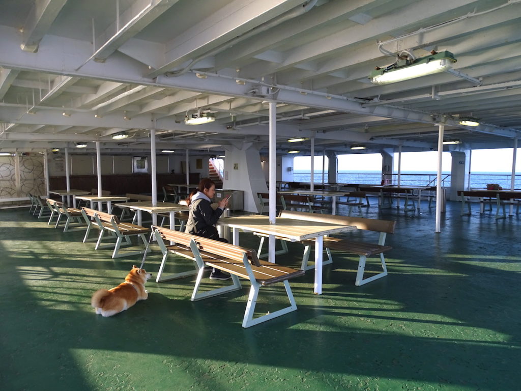 東京湾フェリー