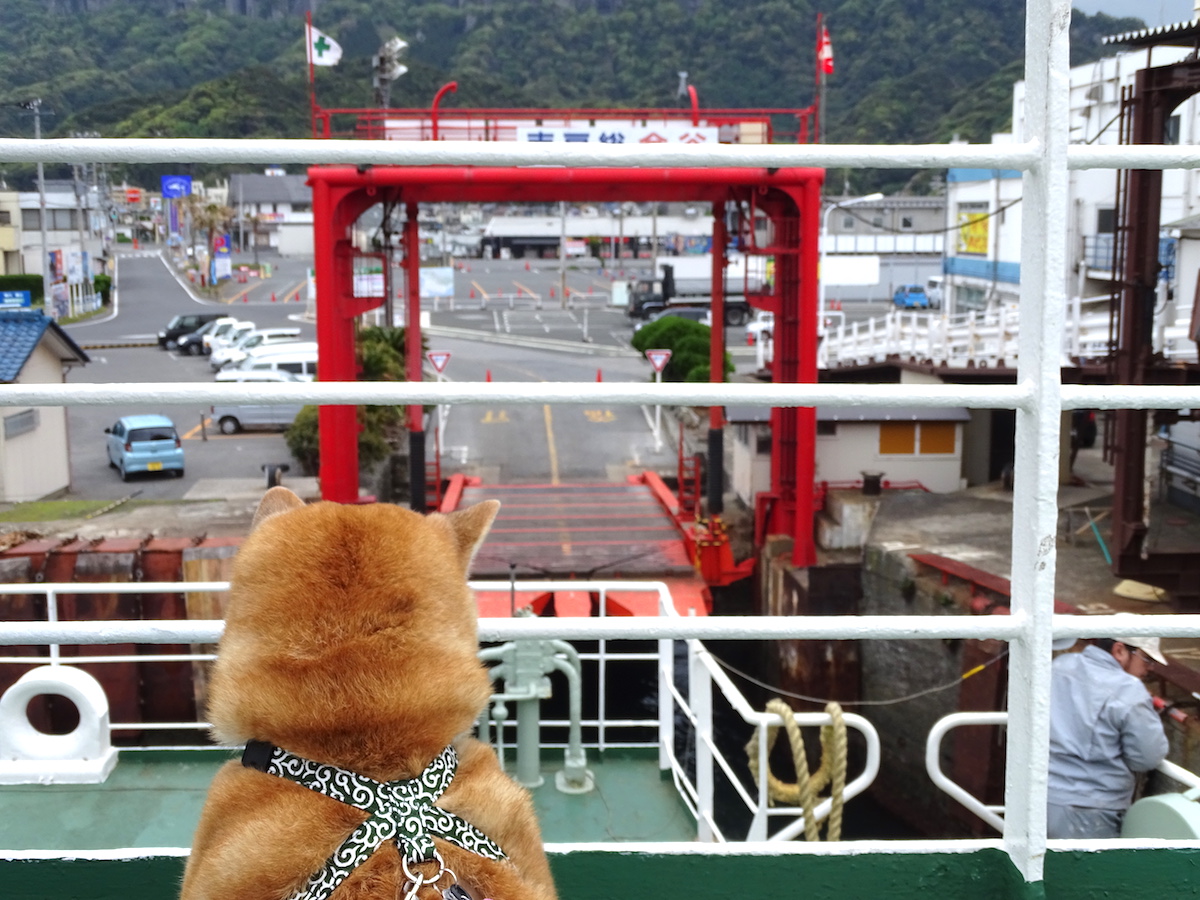 東京湾フェリー