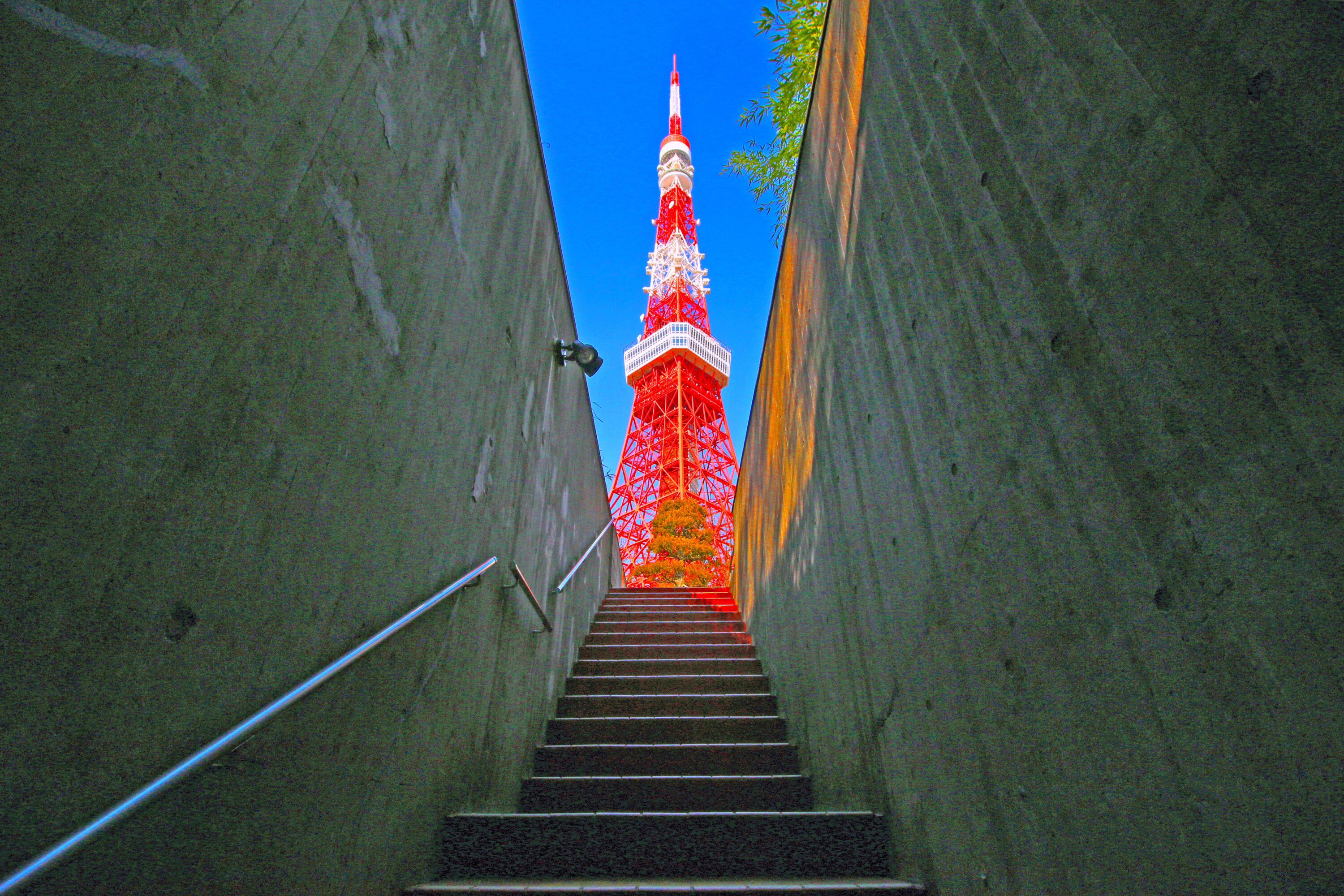 東京タワーを見上げる階段