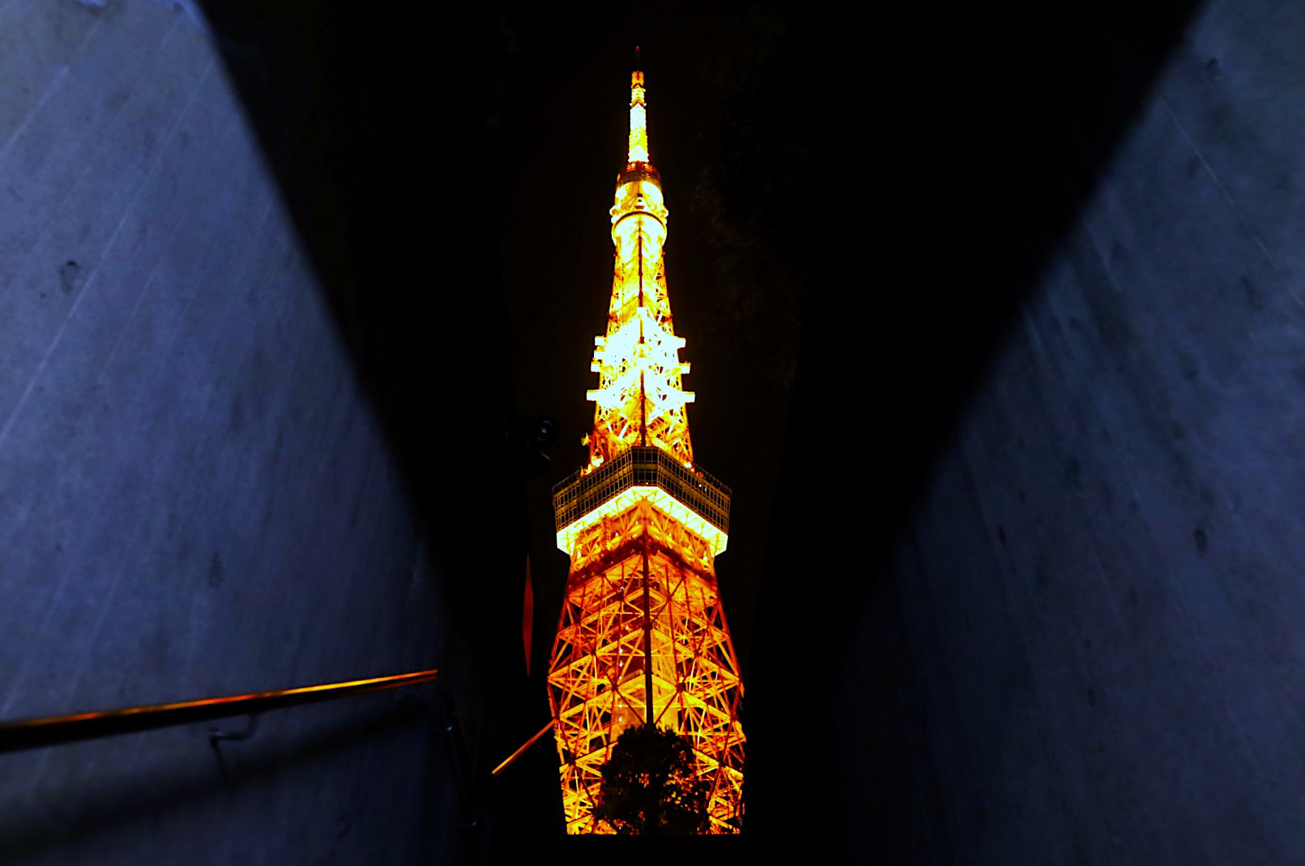 東京タワーを見上げる階段
