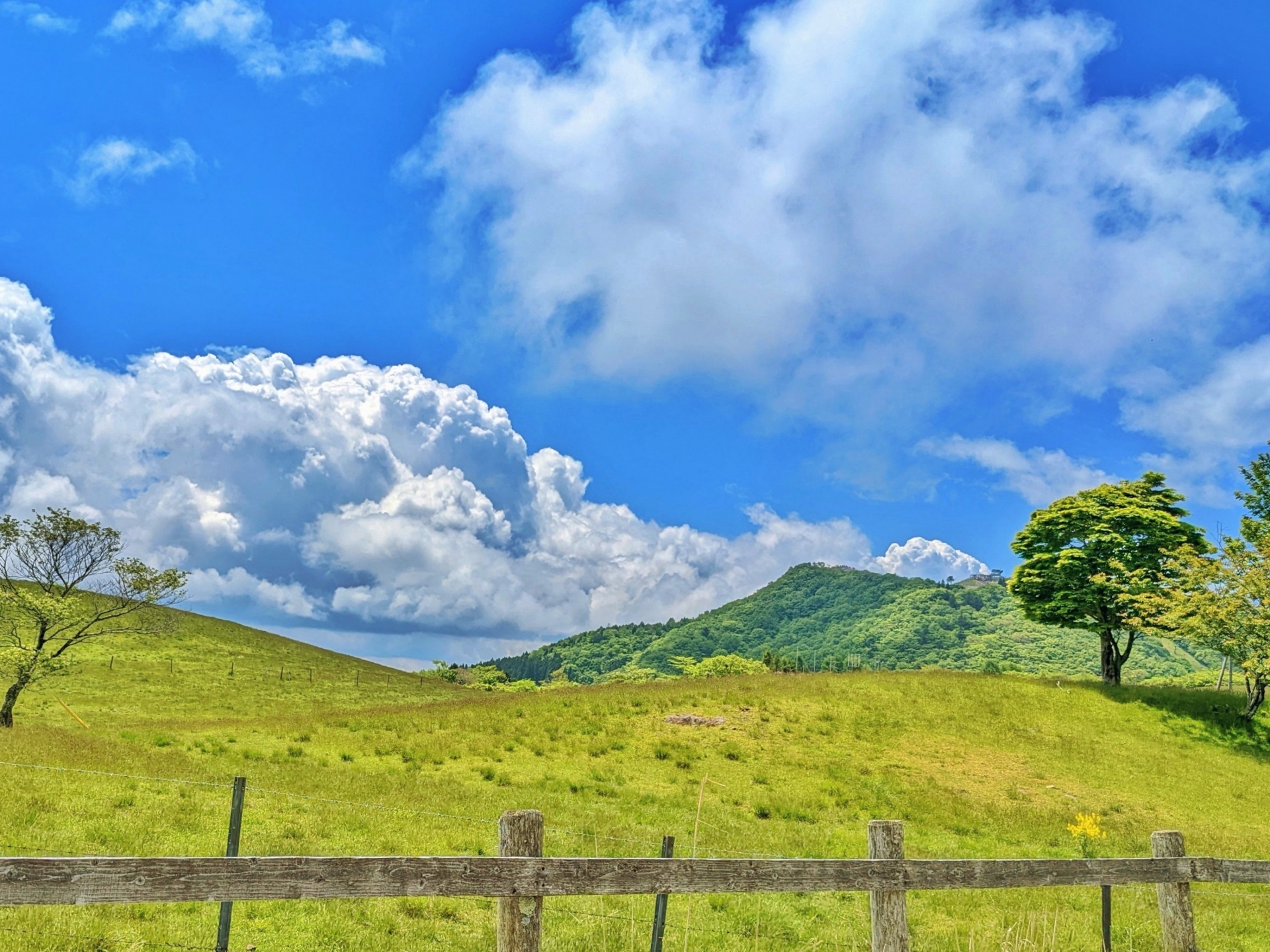 茶臼山高原