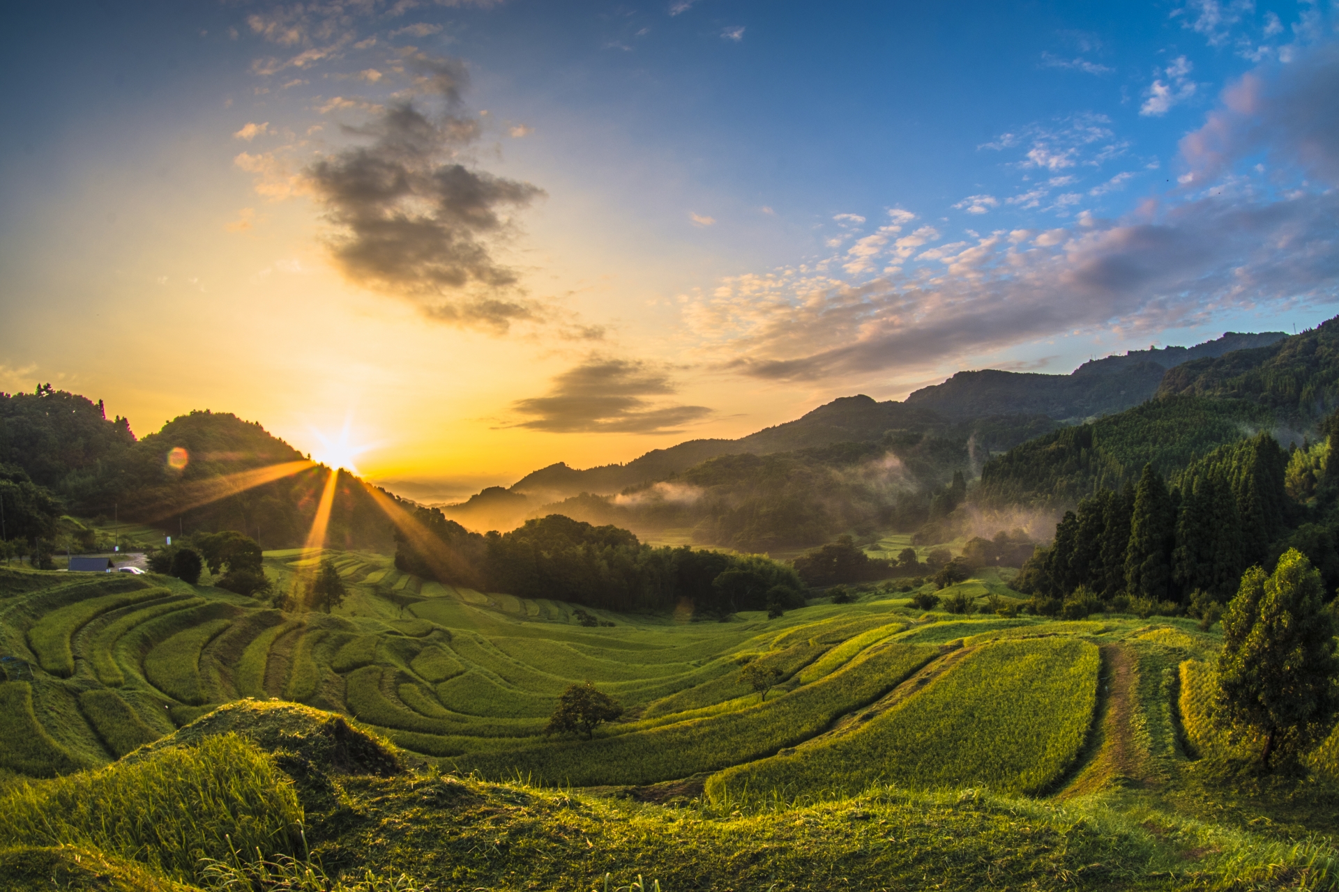 大山千枚田