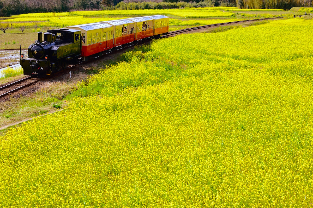 小湊鐵道 里山トロッコ列車