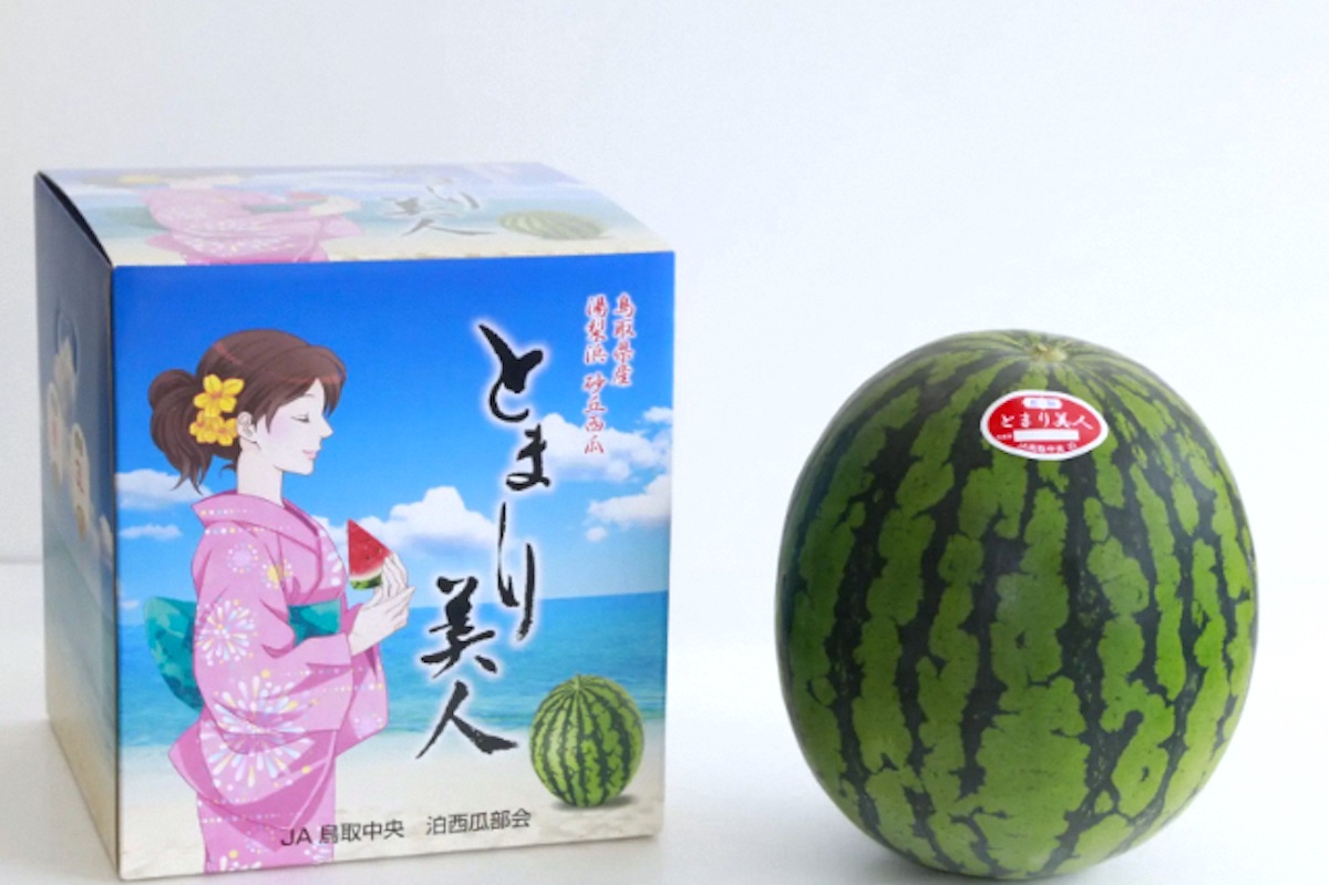 とまり美人