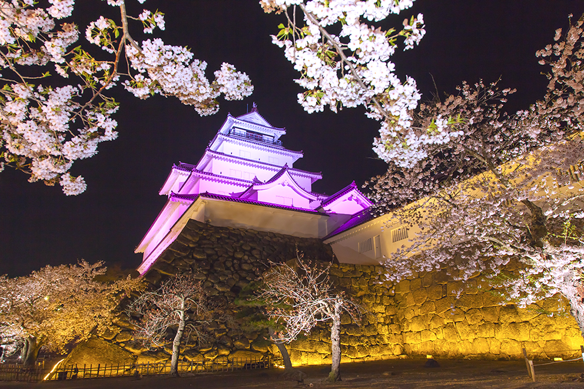 鶴ヶ城桜ライトアップ
