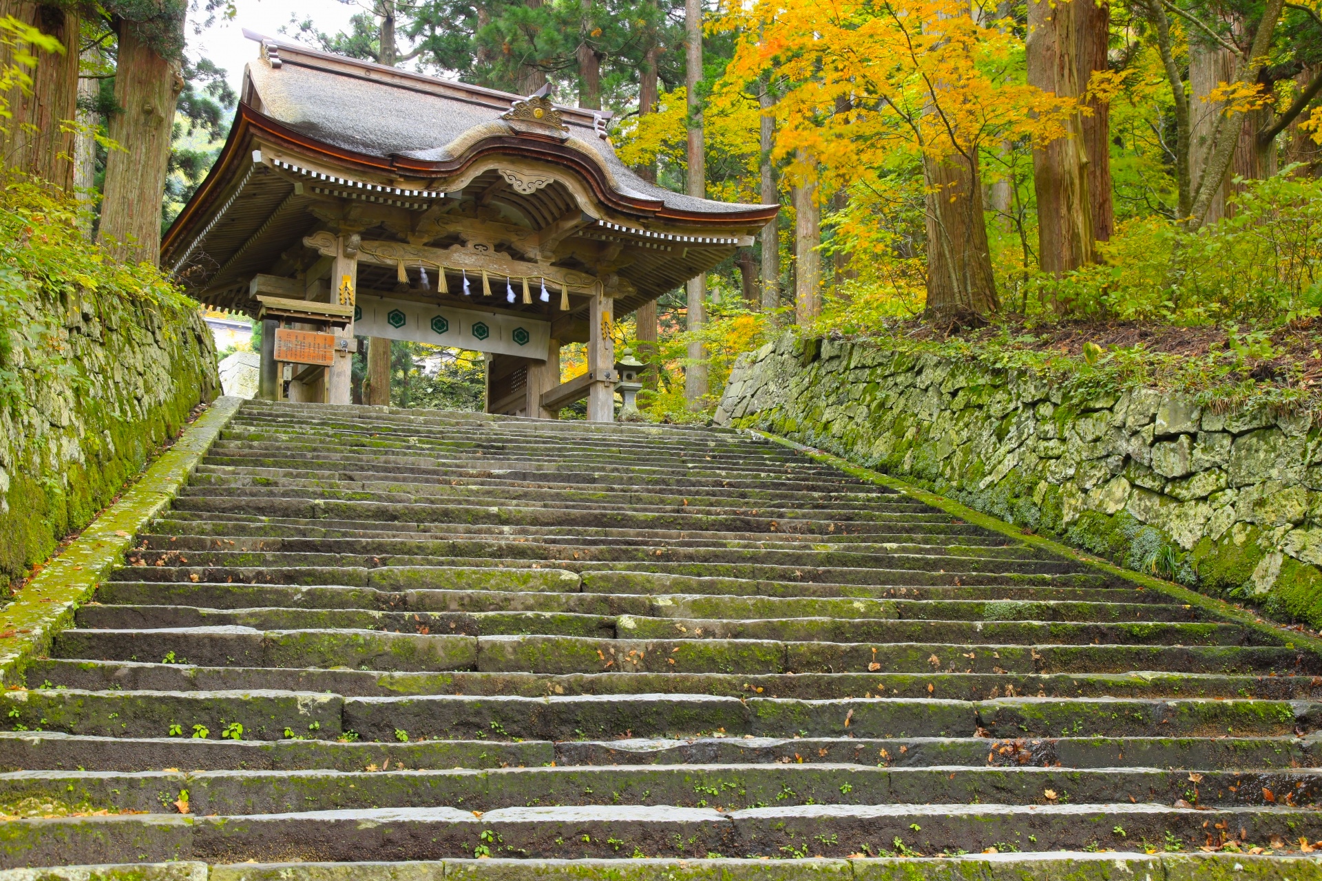 大山寺