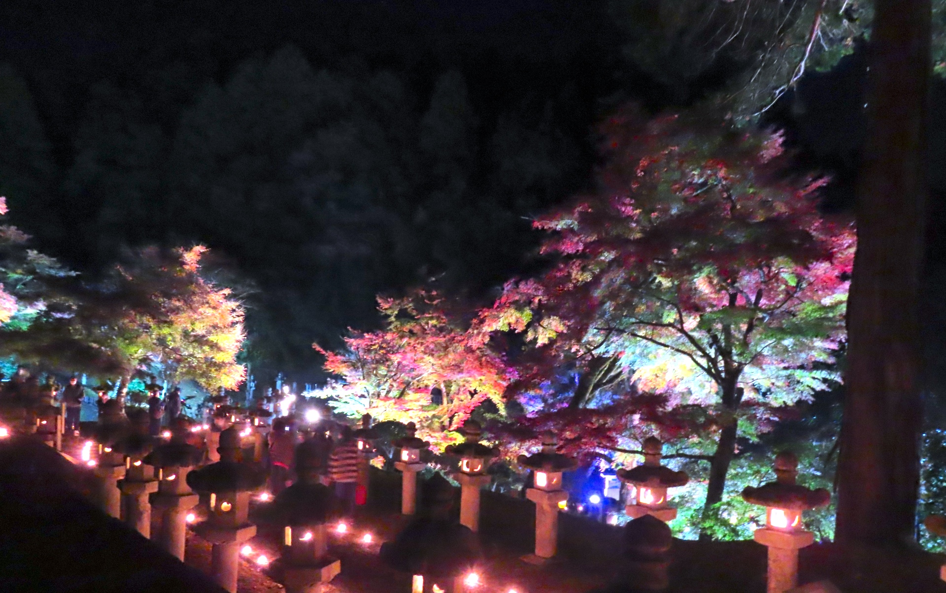 鳥取藩主池田家墓所