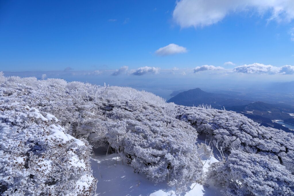 べっぷ鶴見岳大寒がまん大会