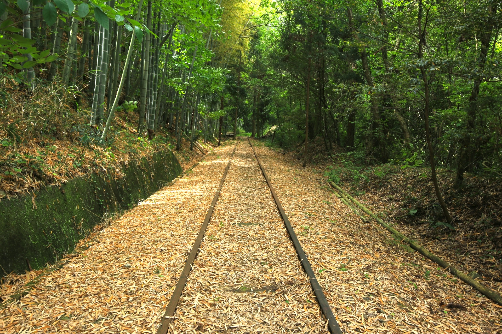内子線・廃線跡