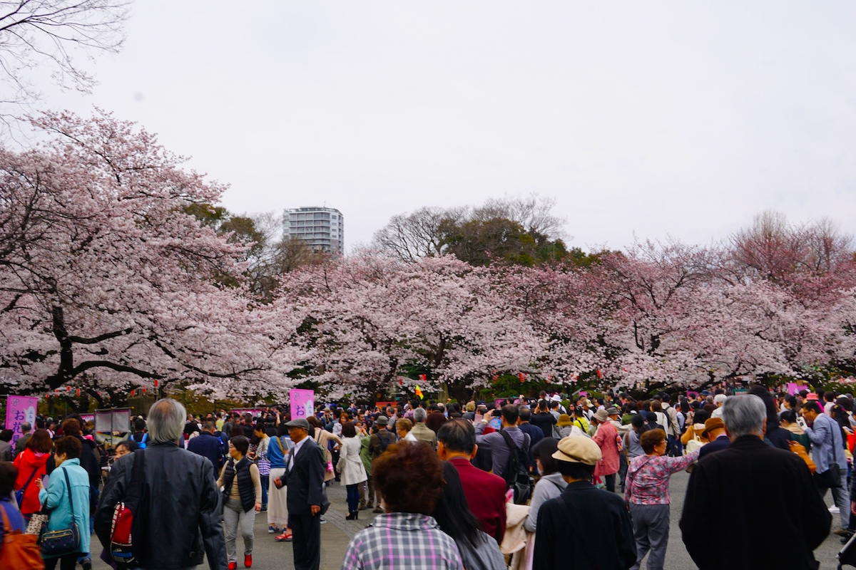 飛鳥山公園、深川公園、芝公園と並ぶ日本最初の公園