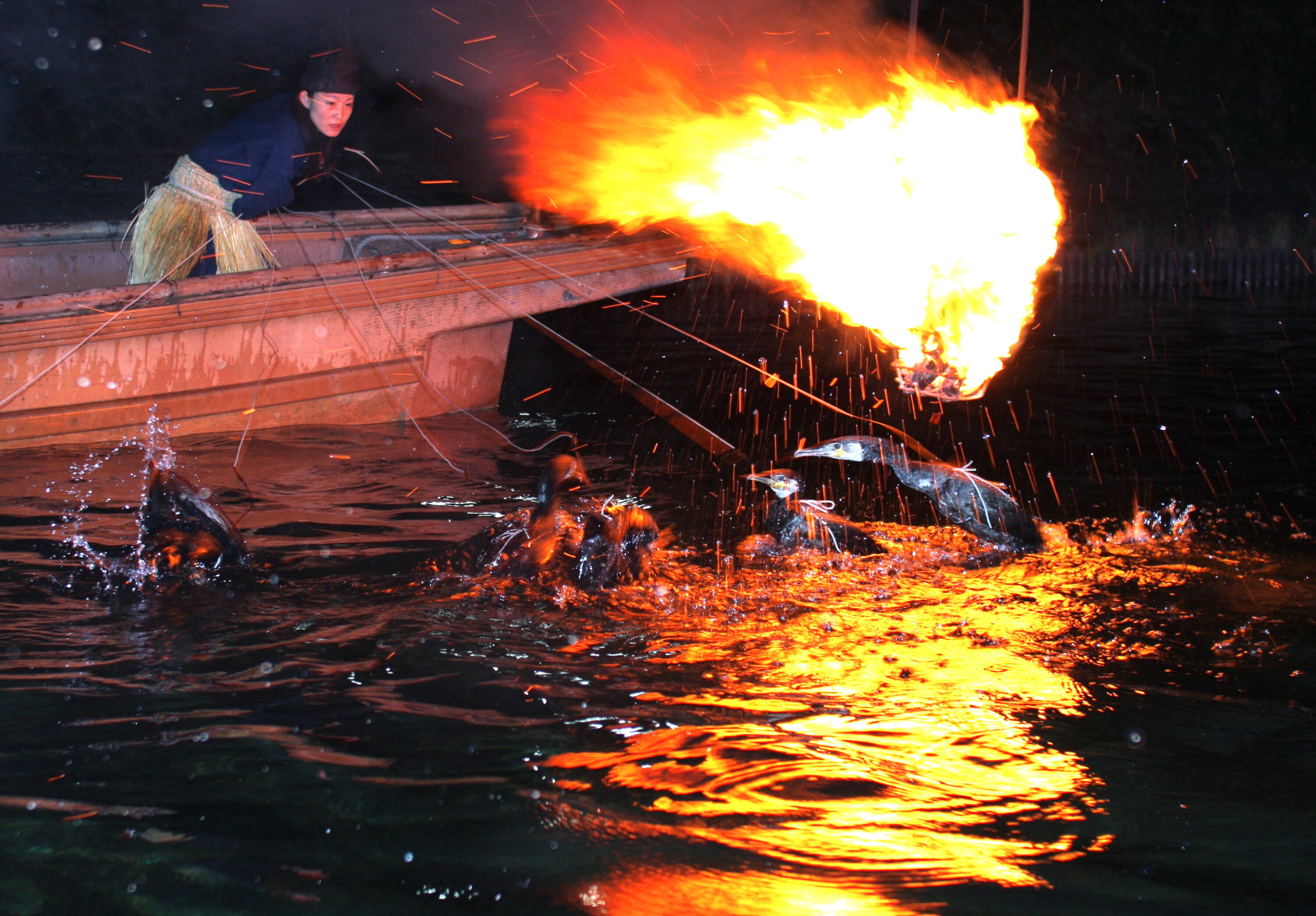 宇治川『鵜飼』（宇治川観光通船）