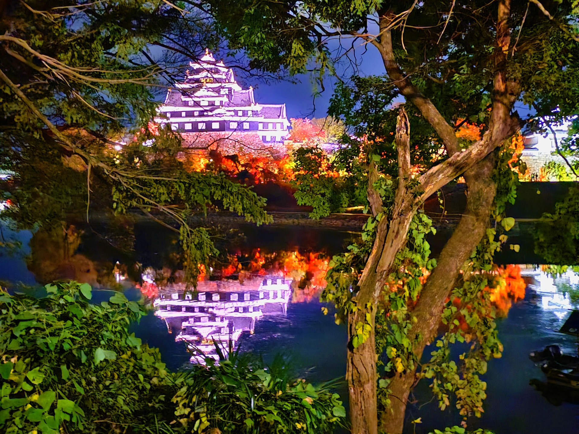 夏の烏城灯源郷