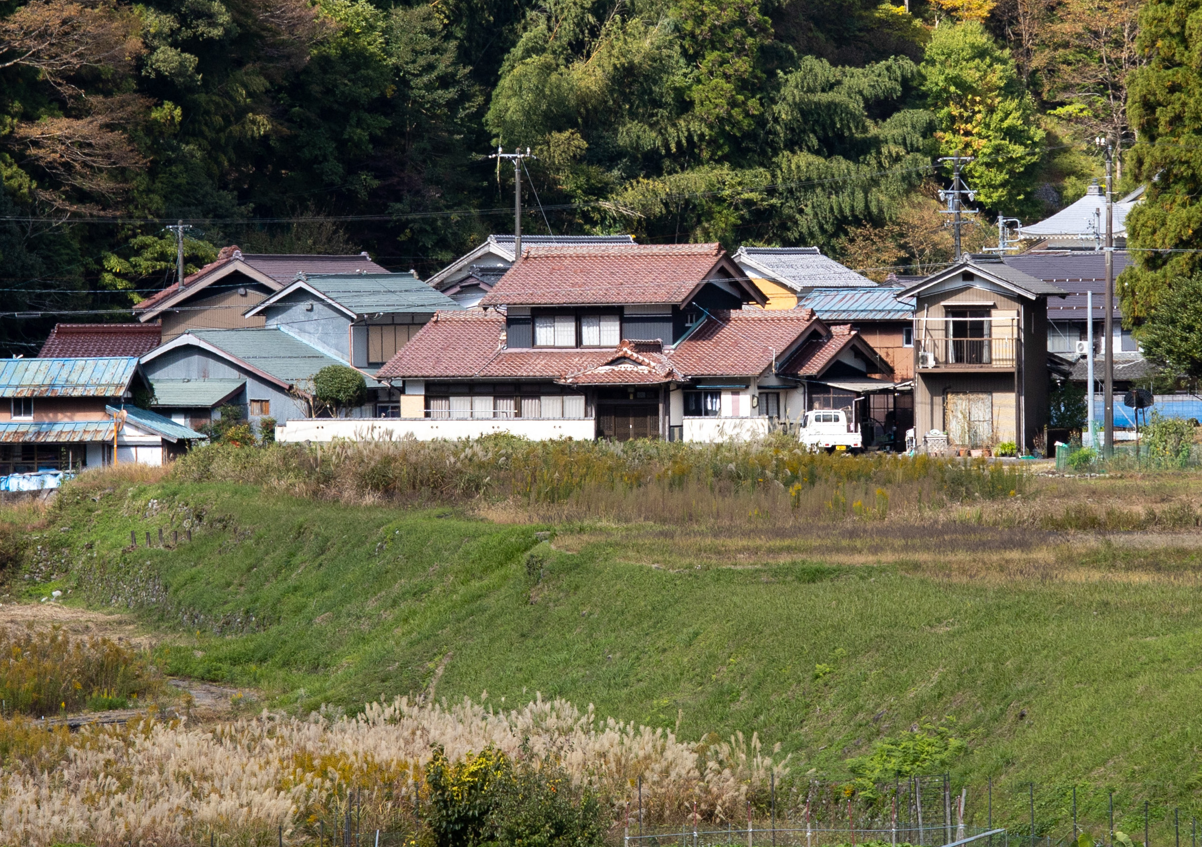 濃尾地震の根尾谷断層