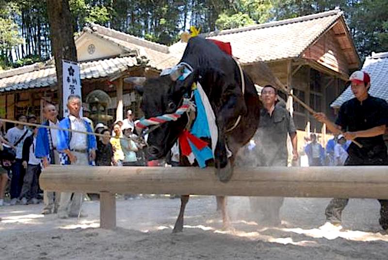 牛越祭り