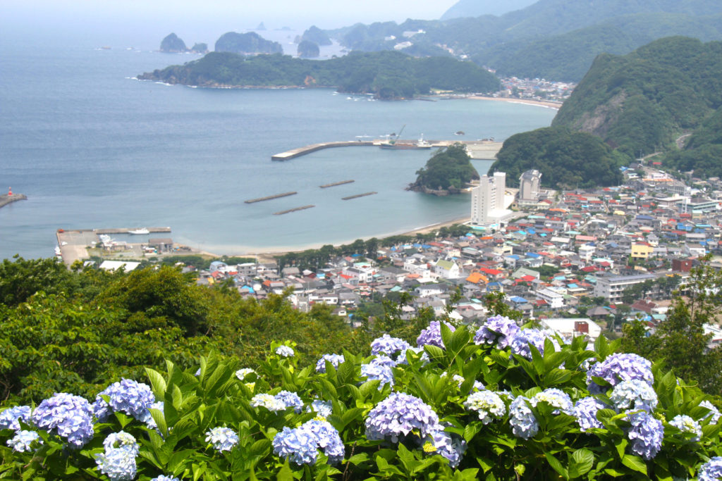 牛原山「あじさいの丘」