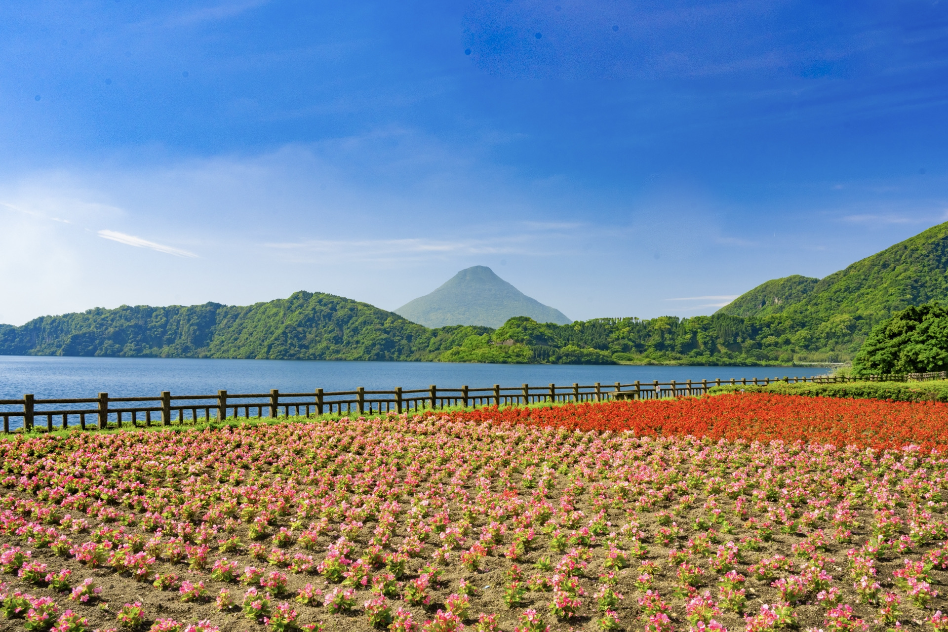 池田・山川