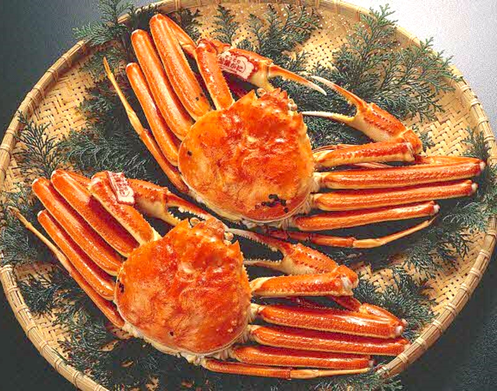 蟹取県ウェルカニキャンペーン