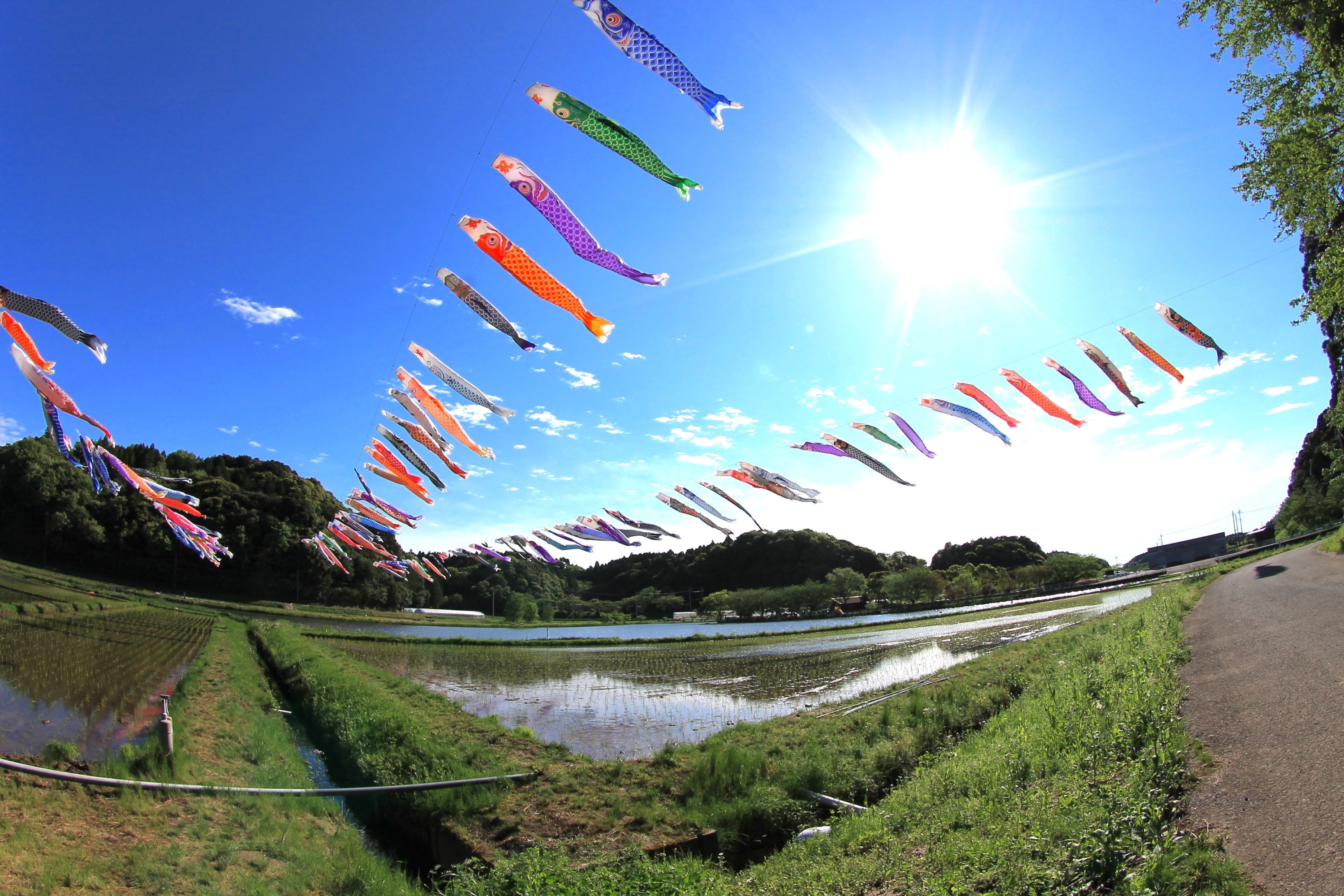 いきいき山田鯉のぼりまつり