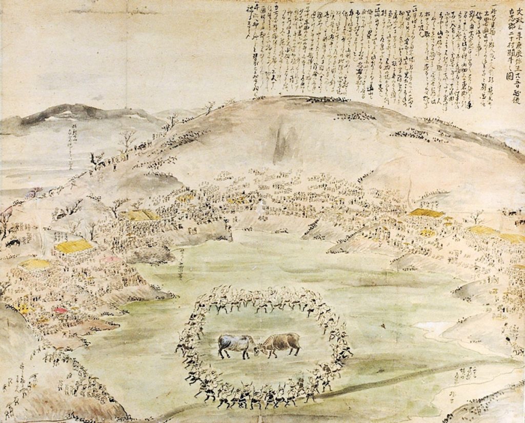越後山古志の闘牛大会（牛の角突き）