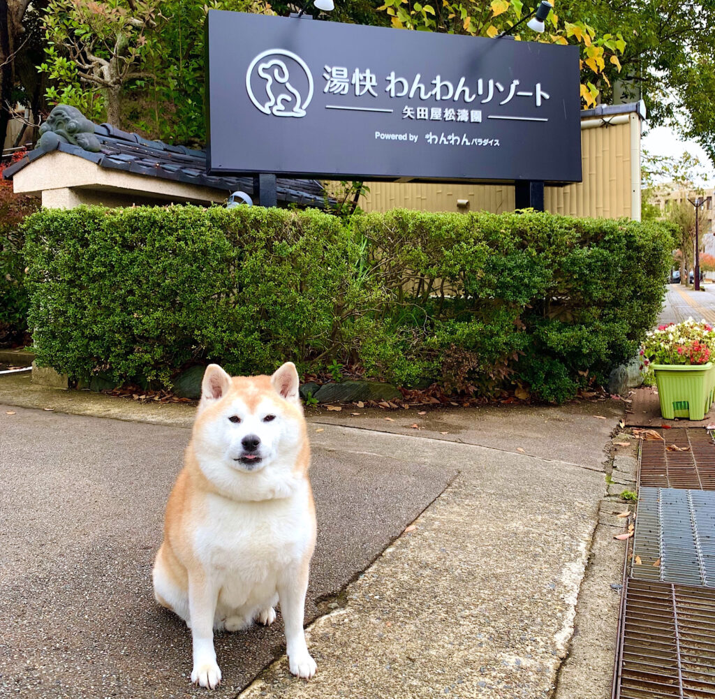 湯快わんわんリゾート 矢田屋松濤園