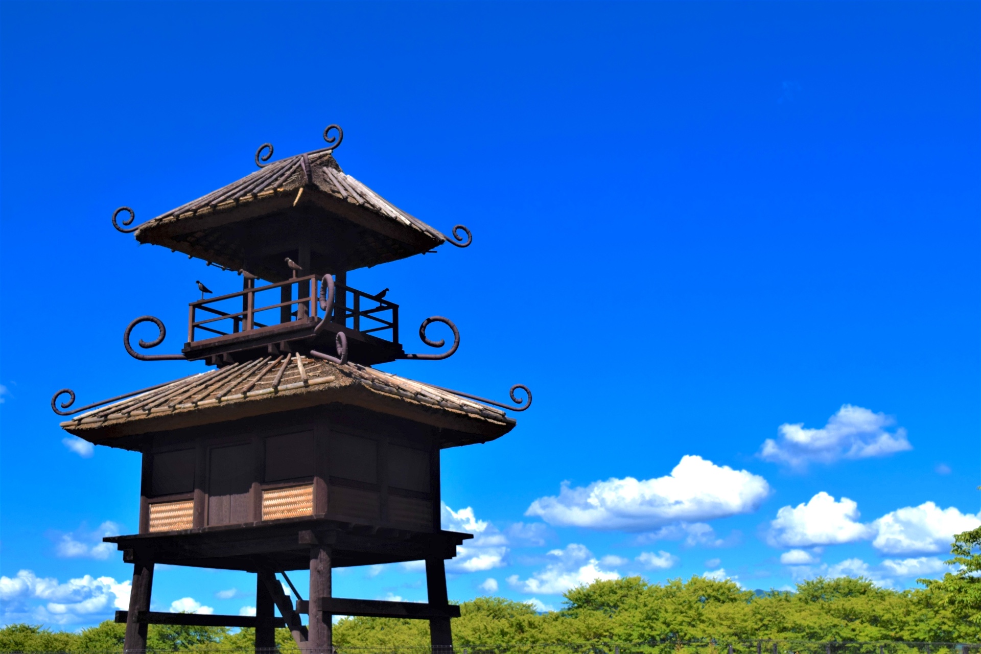 唐古・鍵遺