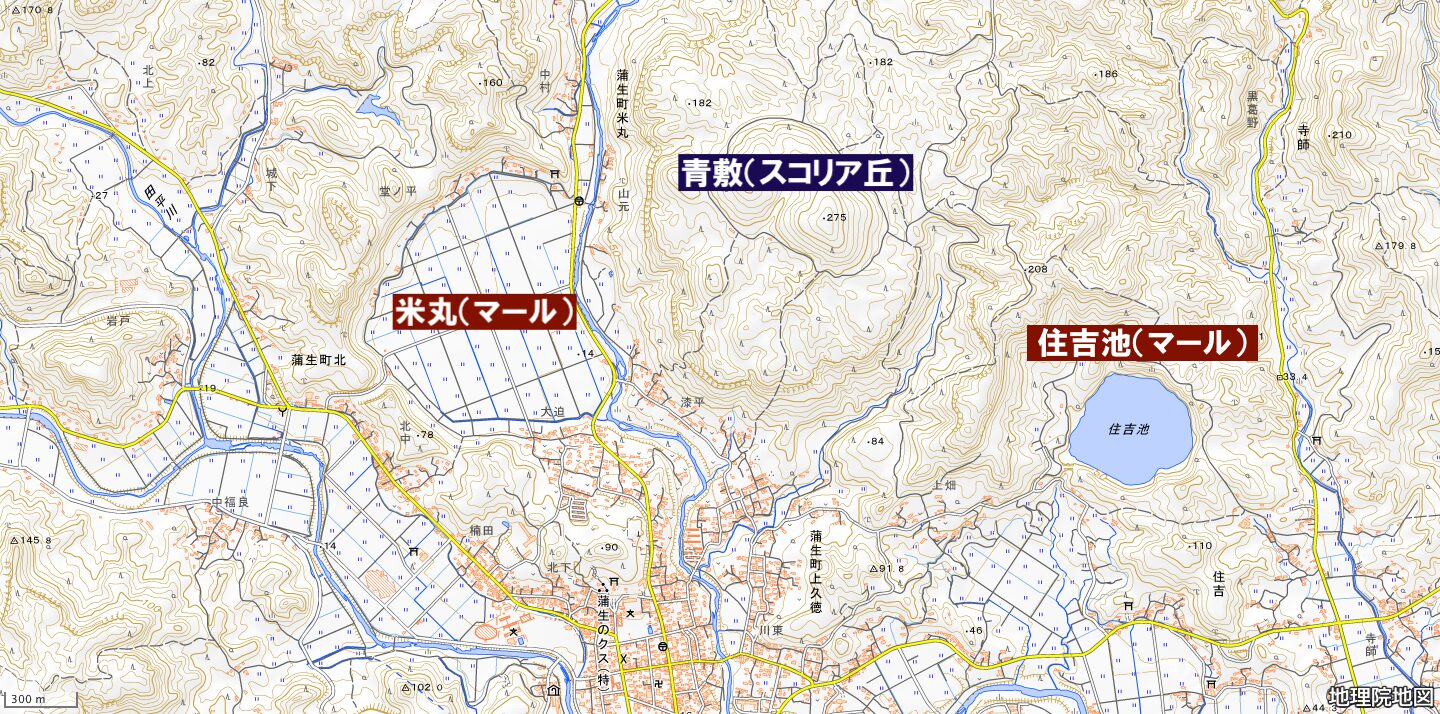 米丸・住吉池