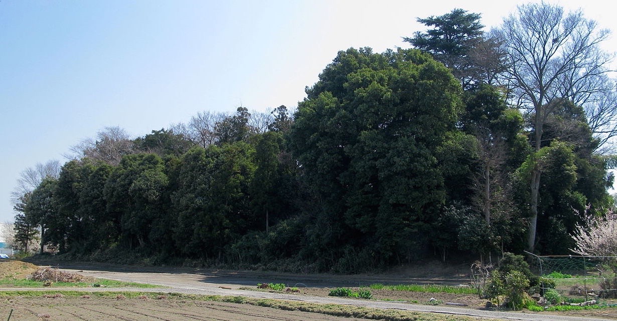 埼玉県の重要遺跡に指定される永明寺古墳