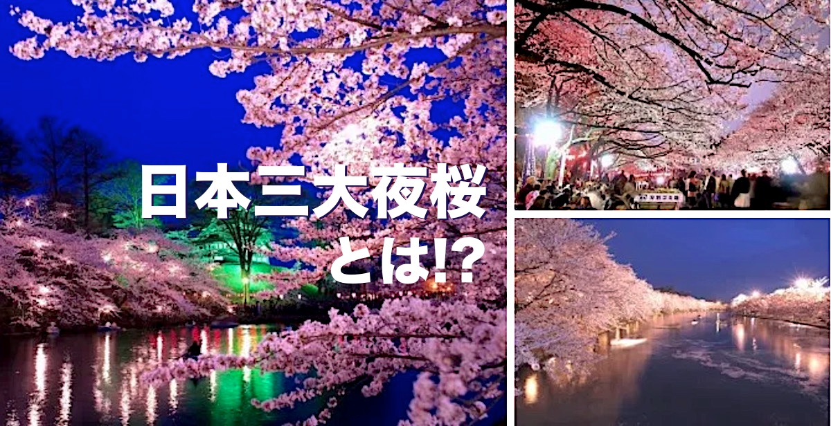 日本三大夜桜