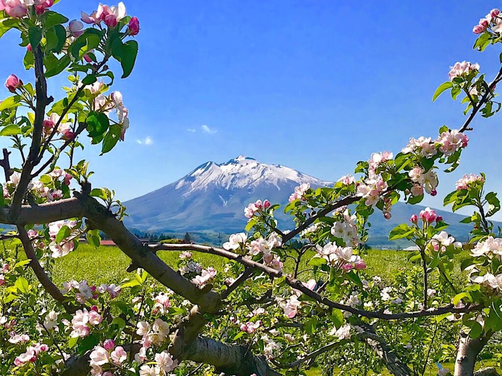 岩木山・雪形