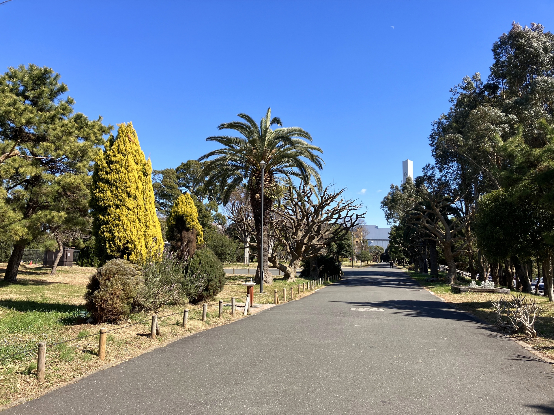 夢の島公園