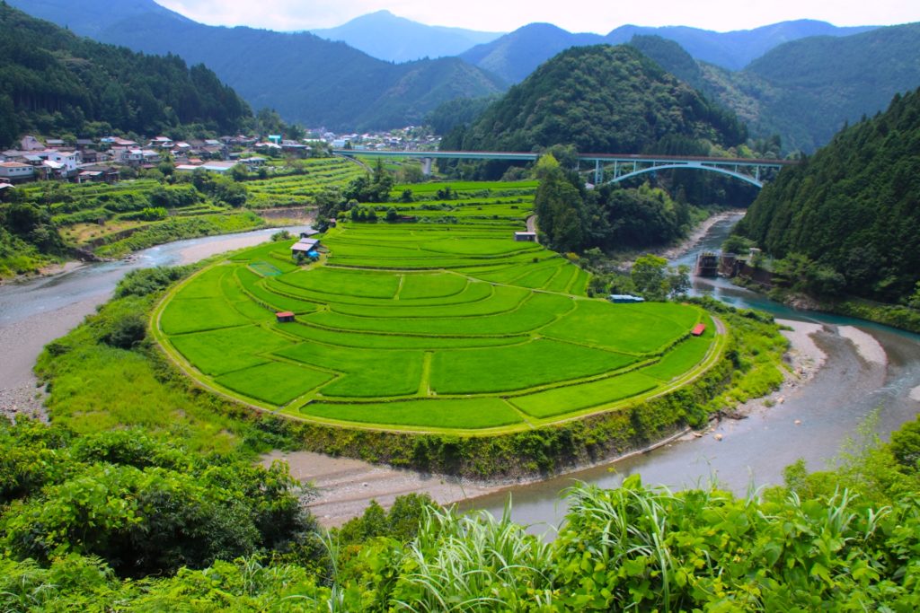 あらぎ島